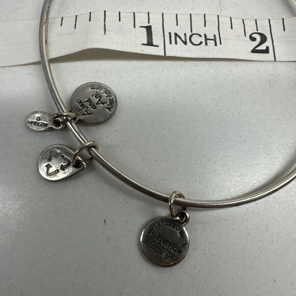 Alex and Ani Claddagh Queens Crown Charm Bracelet Silver Tone Adjustable - Picture 9 of 9